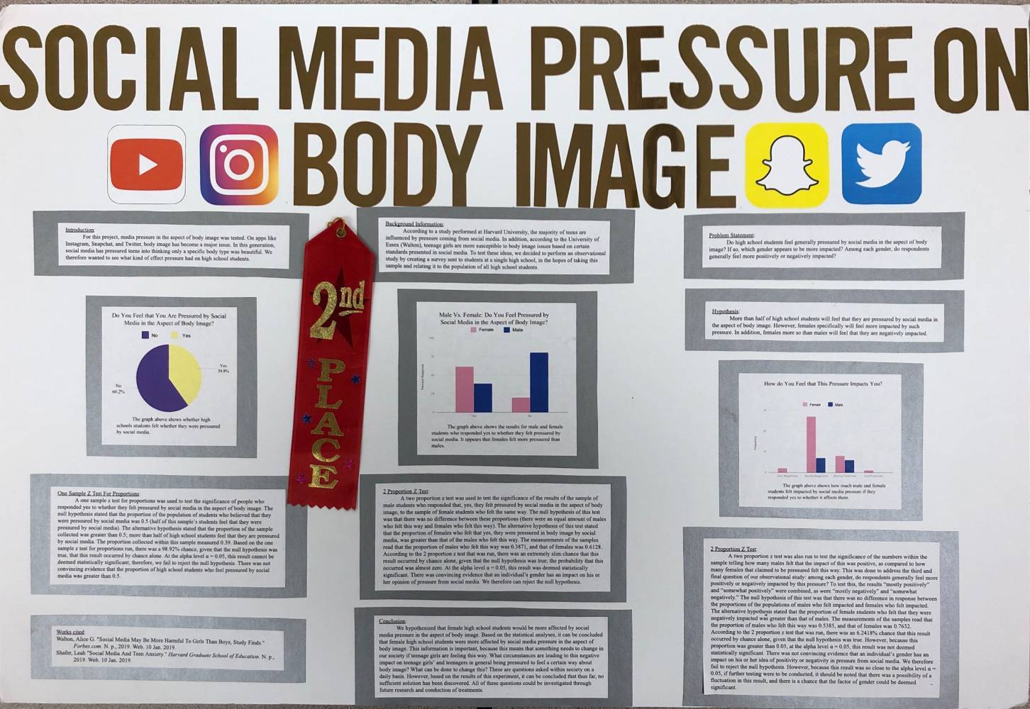 Example Poster: "Social Media Pressure on Body Image"